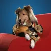 15f5_star_trek_klingon_plush_dog_toy_in_use.webp
