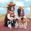 Cowboy Dogs.webp
