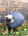 16-WreckingBall.webp