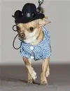 upload_2016-9-26_12-50-0.webp