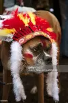 95441992.webp