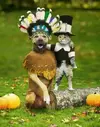 Thanksgiving - Dog Indian & Cat Pilgrim.webp