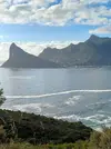 1000004481.webp