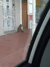 1000004498.webp 1000004498.webp