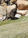 1000004556.webp