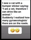 bumper sticker.webp
