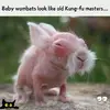 1737650249698.webp