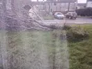 1737717694690.webp