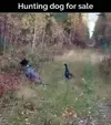 1738099417078.webp