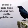1738256697216.webp