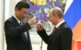 1738769552334.webp