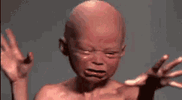 1000009353.gif 1000009353.gif