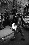 Pele in Goodison Rd.webp