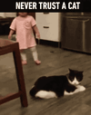 R.gif R.gif