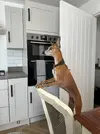 IMG-20250227-WA0013.webp