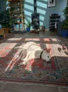 1000017128.webp