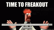IMG_6977.gif