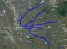BMDBuses.webp