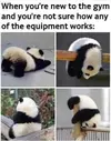 1741190703095.webp