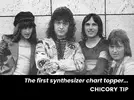 Chicory-Tip-promo-copy.webp