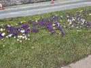 IMG_3508.webp