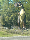 IMG_1476.webp