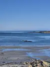 1000009272.webp 1000009272.webp