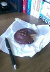 IMAG0513_1.webp