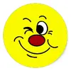 winking_smiley_face_grumpey_round_sticker-rd509e05852fd40f19ca921735d6cfabf_v9wth_8byvr_512-2.webp