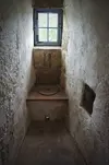 toilet.webp