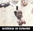 winter is coming.webp