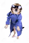 image.webp