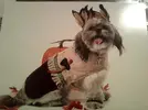 halloween-costume-32.webp