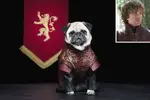 Tronos2.webp