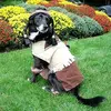 dog_indian2.webp