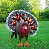 the-most-adorable-dogs-dressed-in-thanksgivin-L-OBC17u.webp