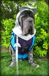 2774656_orig.webp