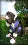 bunny_rufio.webp