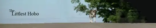 image.webp