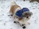 raja-hat-boots.webp