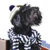 boatsafety.webp