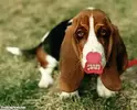 upload_2016-10-10_19-7-46.webp