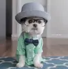 896784bcbedadc1d41261027f618c45d.webp