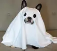 ghost-dog-halloween-costume.webp