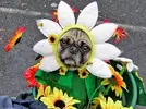 images.webp