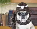 Oliver-football-knit-hat-eye-fixed-thersaurus-quote-P+K-IMG_5491--1024x819.webp