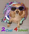 sadie2cool4school2-879x1024.webp