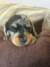 IMG-20161013-WA0012.webp