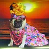 87-Fruit.webp