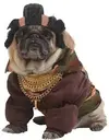 images.webp